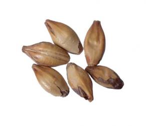 British Crystal 50/60L 1 lb